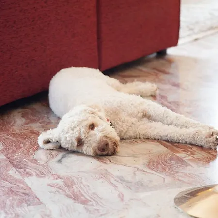 Ricordo Du Parc Hotel