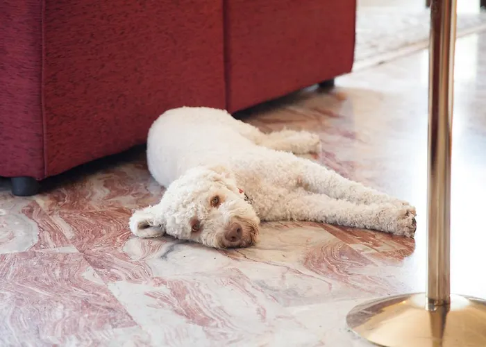 Ricordo Du Parc ホテル